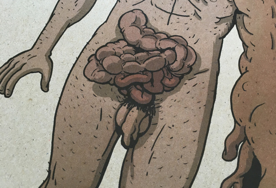 Image of project Owd Bob